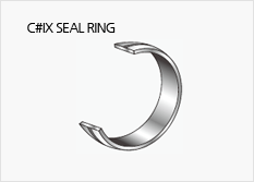 C#IX SEAL RING 이미지